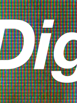 Social & Digital